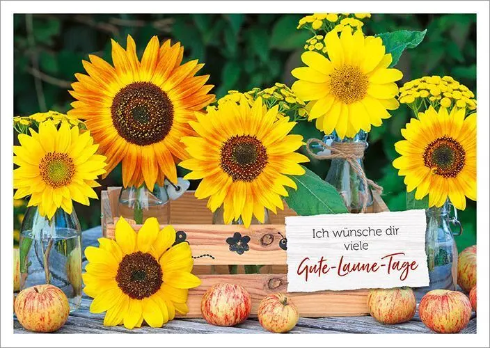 Bild: 4029856840697 | Alltagsglücklich - Postkartenset | Taschenbuch | 18 S. | 558406900