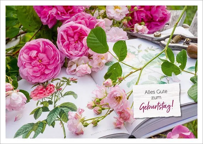 Bild: 4029856840697 | Alltagsglücklich - Postkartenset | Taschenbuch | 18 S. | 558406900