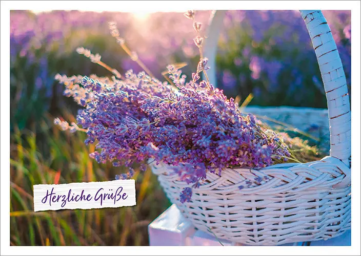Bild: 4029856840697 | Alltagsglücklich - Postkartenset | Taschenbuch | 18 S. | 558406900
