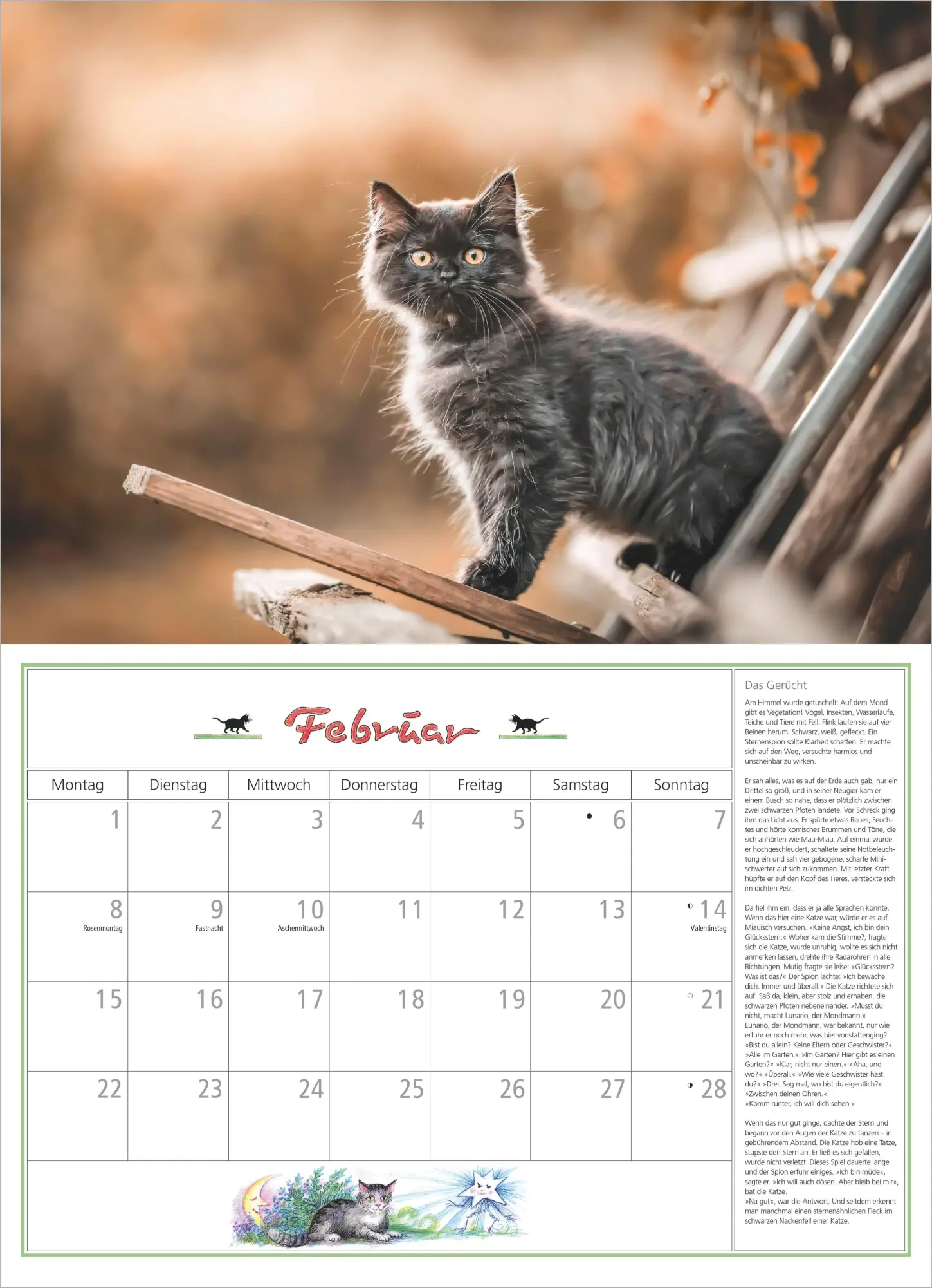Bild: 4069095010697 | DuMonts Katzen Kalender 2027 | Neumann Verlage GmbH &amp; Co KG | Kalender