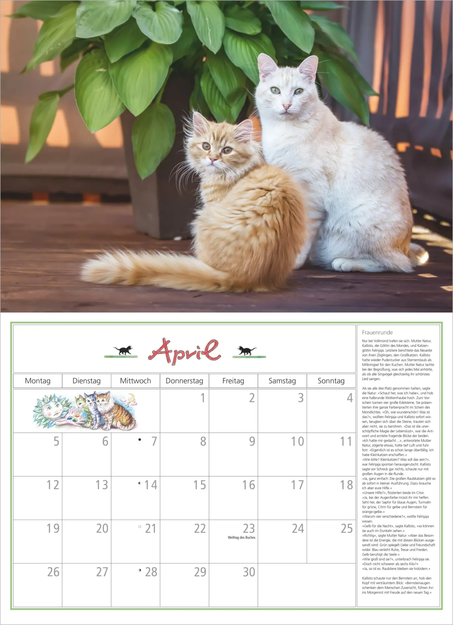 Bild: 4069095010697 | DuMonts Katzen Kalender 2027 | Neumann Verlage GmbH &amp; Co KG | Kalender