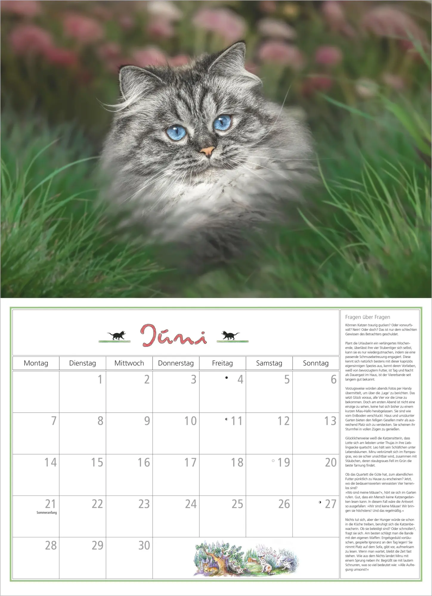Bild: 4069095010697 | DuMonts Katzen Kalender 2027 | Neumann Verlage GmbH &amp; Co KG | Kalender
