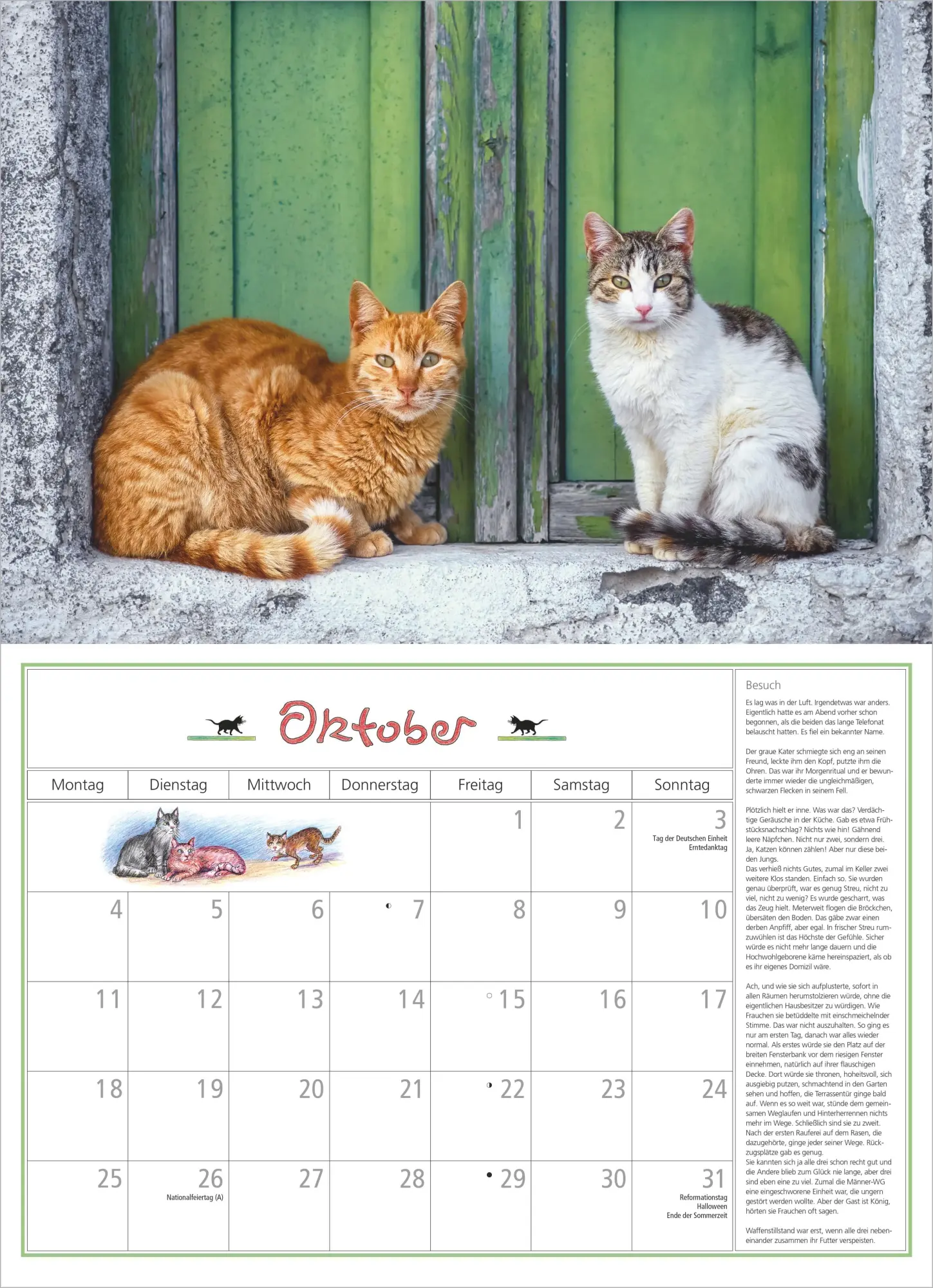 Bild: 4069095010697 | DuMonts Katzen Kalender 2027 | Neumann Verlage GmbH &amp; Co KG | Kalender