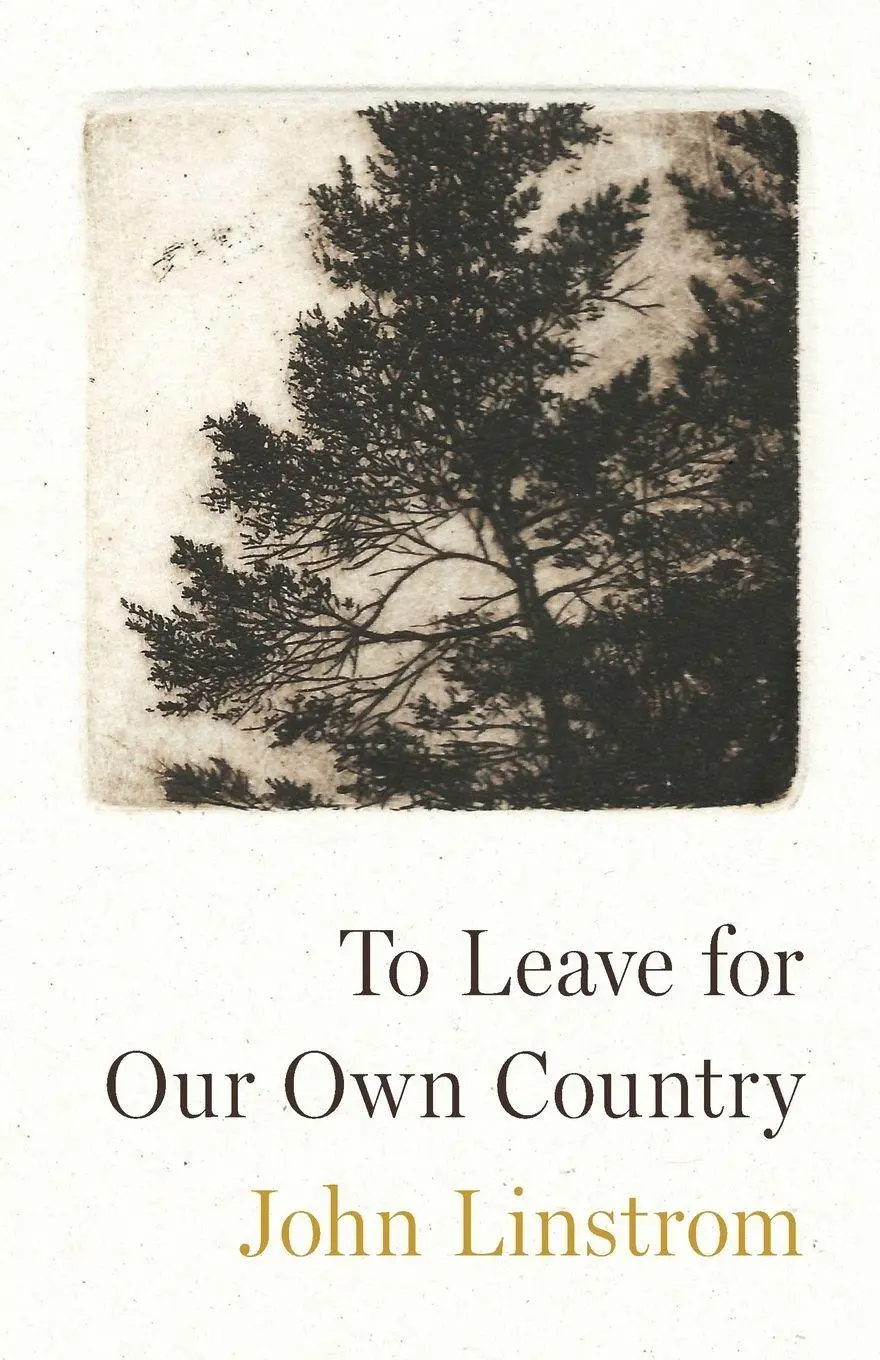 Cover: 9781625570697 | To Leave for Our Own Country | John Linstrom | Taschenbuch | Englisch