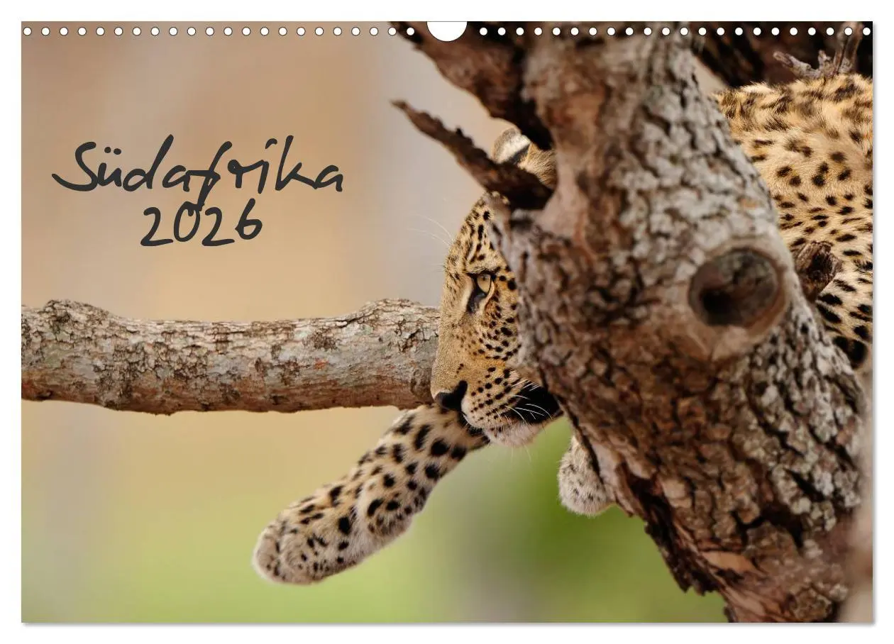 Cover: 9783516230697 | Südafrika (Wandkalender 2026 DIN A3 quer), CALVENDO Monatskalender