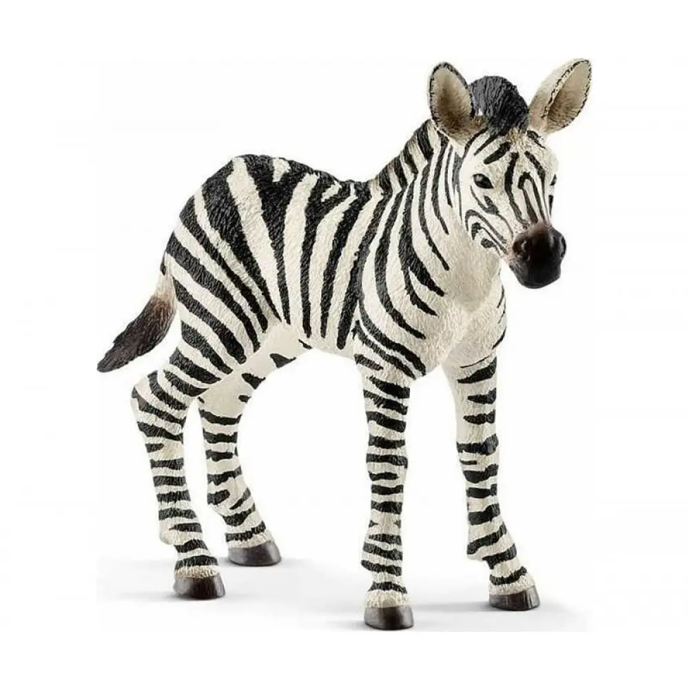 Cover: 4055744020797 | Schleich Wild Life Zebra 8cm | 00101045S14811 | 2025 | Schleich