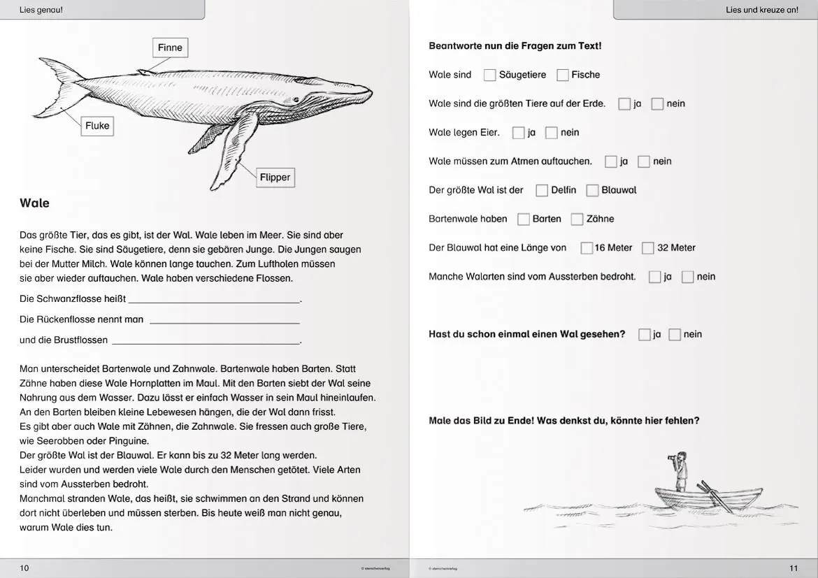 Bild: 9783981220797 | Ich kann lesen 3. Schüler-Arbeitsheft für die 2. und 3. Klasse | Buch