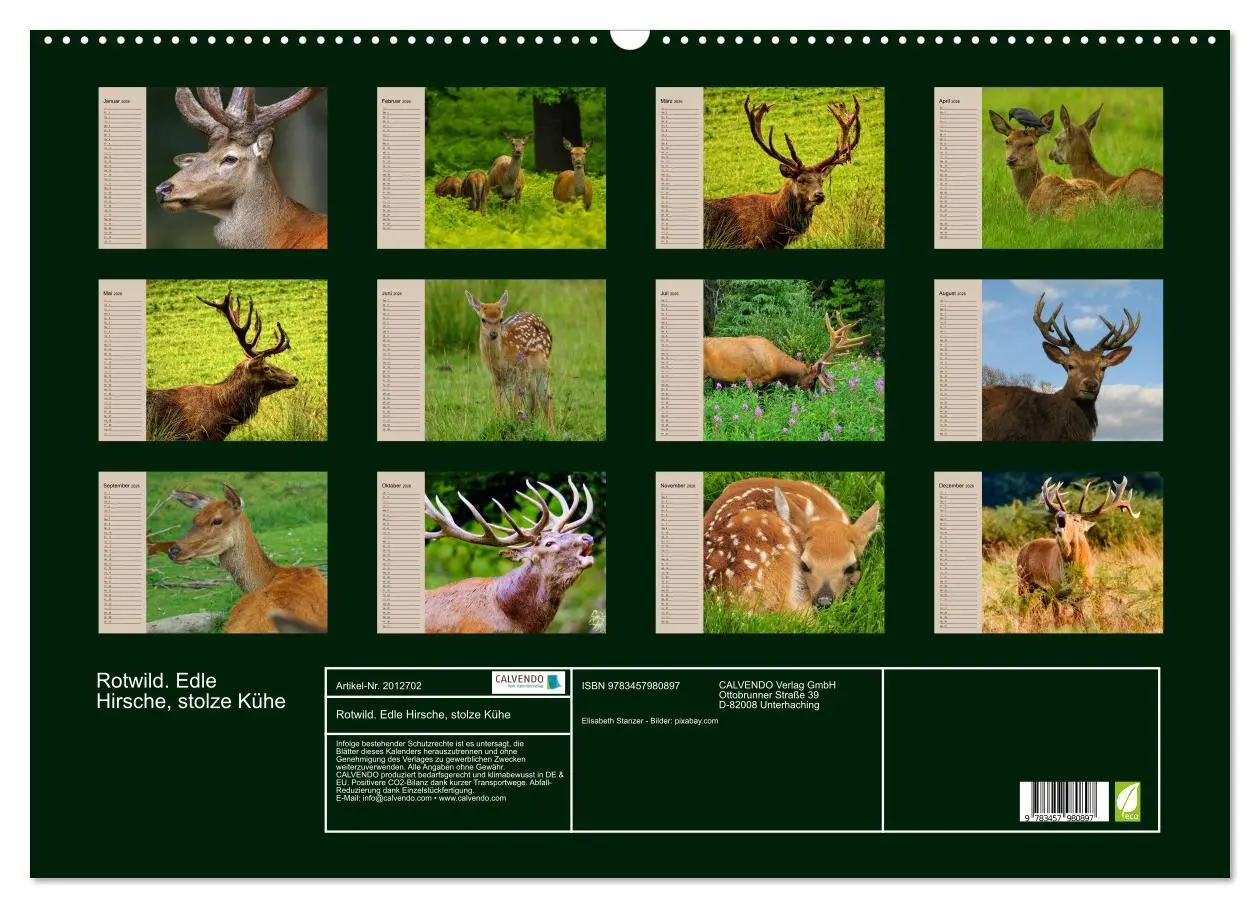 Bild: 9783457980897 | Rotwild. Edle Hirsche, stolze Kühe (Wandkalender 2026 DIN A2 quer),...