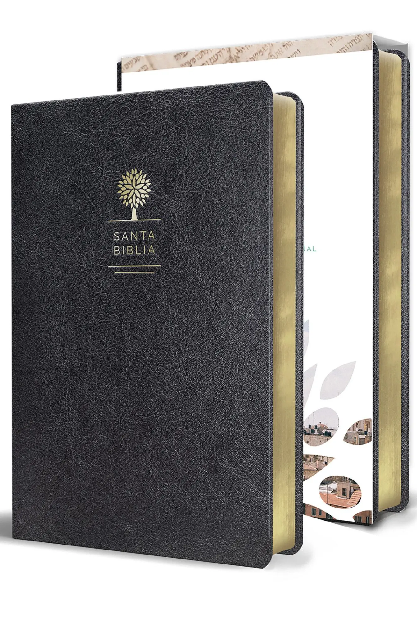 Cover: 9781644730997 | Biblia Reina Valera 1960 Letra Grande. Símil Piel Color Negro,...