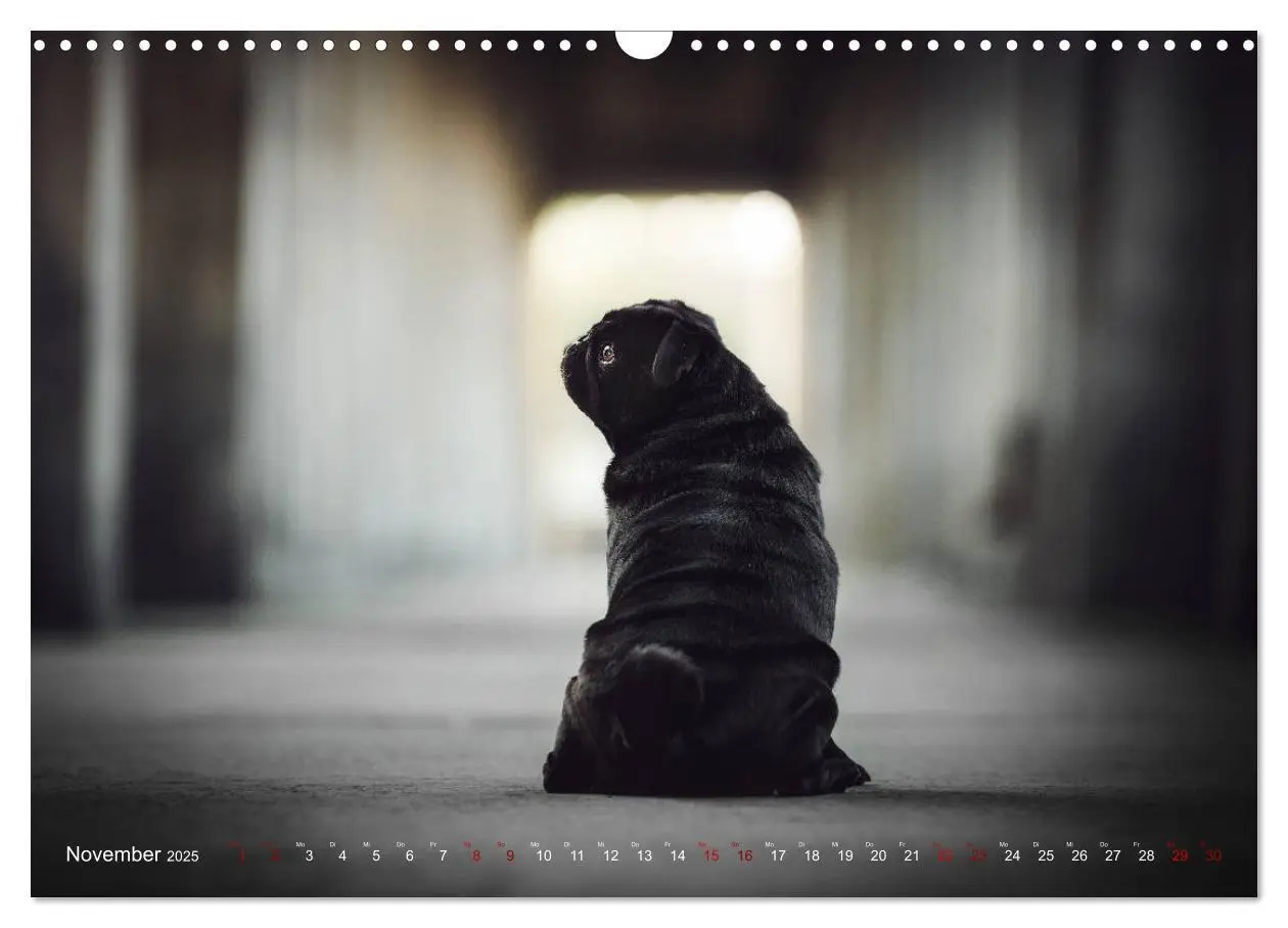 Bild: 9783435330997 | Diesels Welt (Wandkalender 2025 DIN A3 quer), CALVENDO Monatskalender