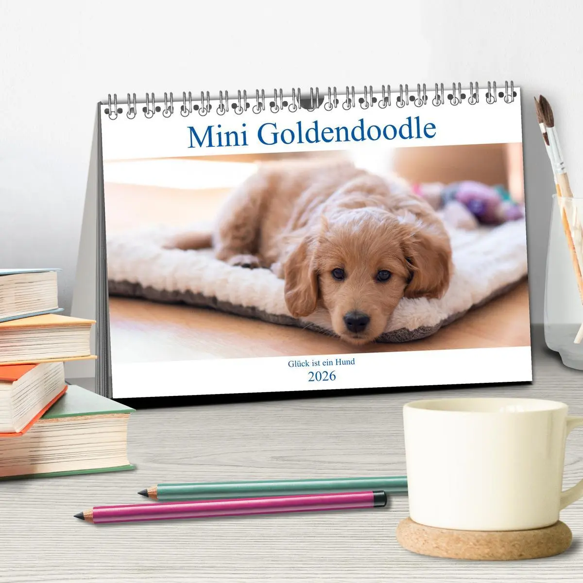 Bild: 9783457800997 | Mini Goldendoodle - Glück ist ein Hund (Tischkalender 2026 DIN A5...