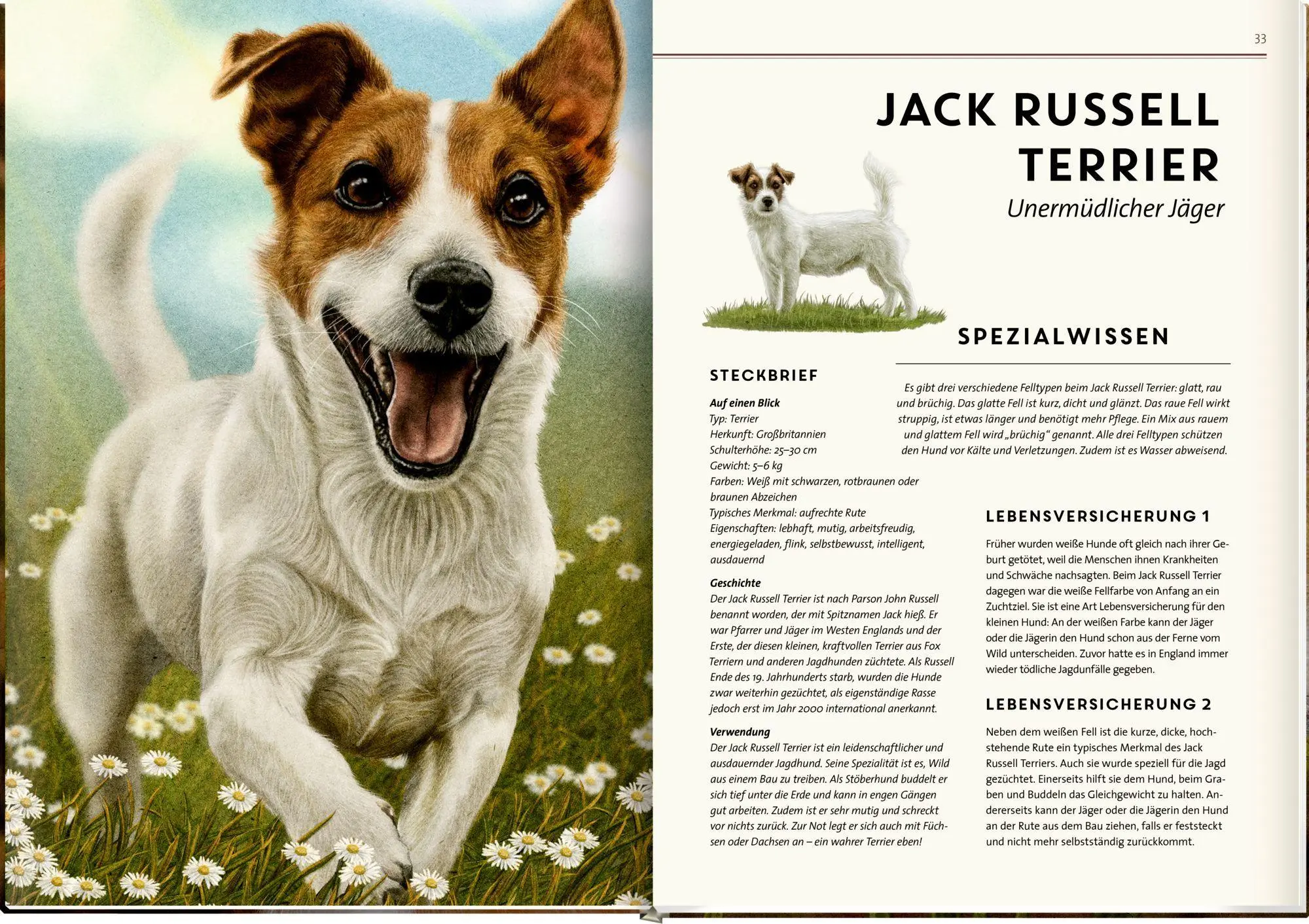 Bild: 9783649650997 | Lebensgroß | Hunde, unsere Gefährten | Raphael Knop | Buch | 56 S.