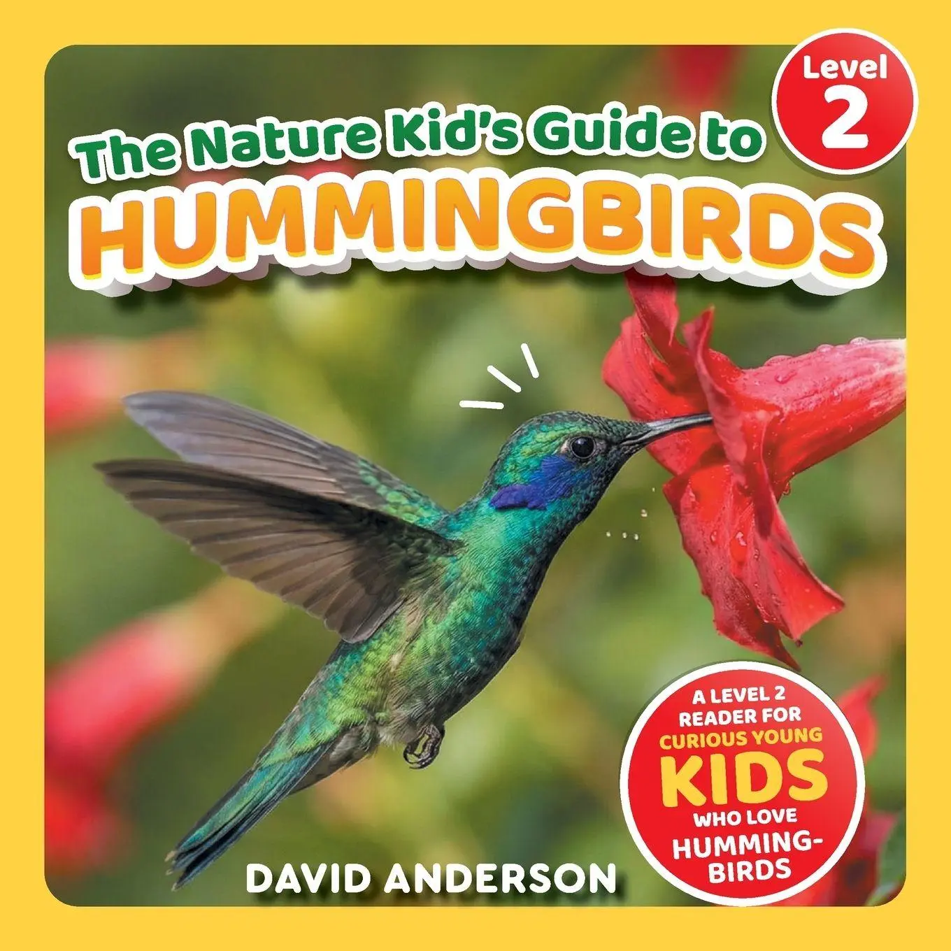 Cover: 9798898180997 | The Nature Kid's Guide to Hummingbirds | David Anderson | Taschenbuch