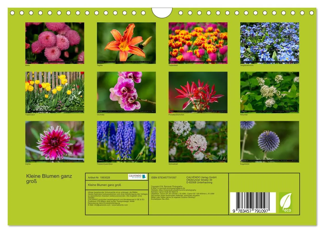Bild: 9783457791097 | Kleine Blumen ganz groß (Wandkalender 2026 DIN A4 quer), CALVENDO...