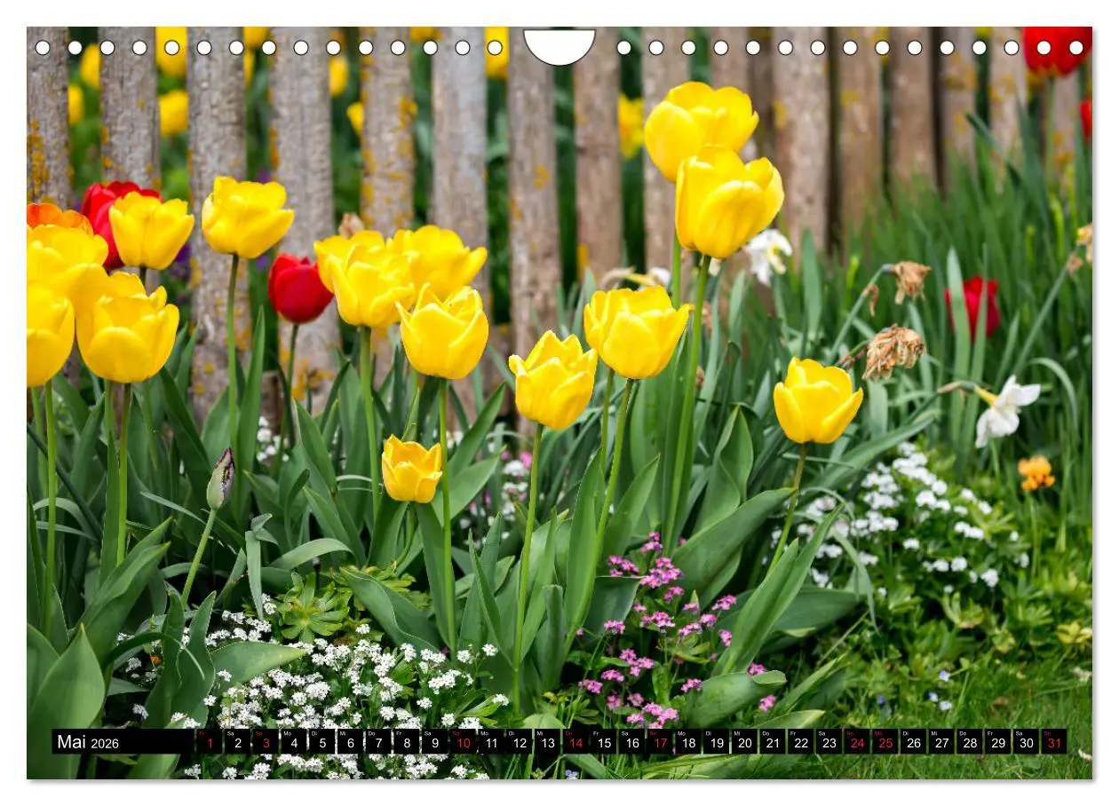 Bild: 9783457791097 | Kleine Blumen ganz groß (Wandkalender 2026 DIN A4 quer), CALVENDO...