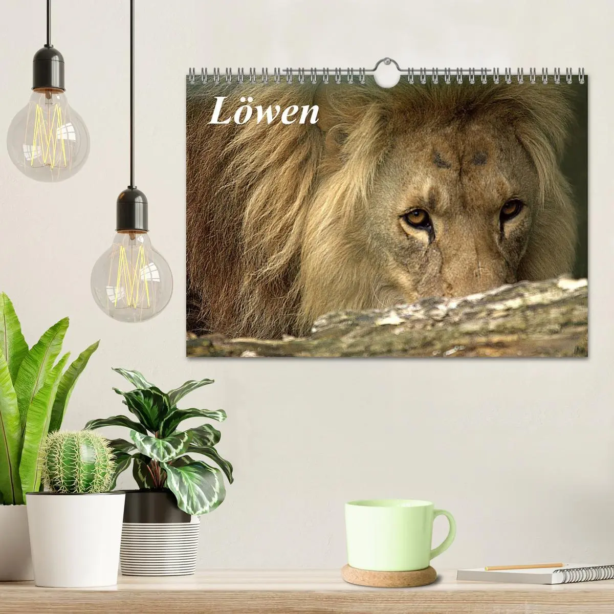 Bild: 9783516191097 | Löwen (Wandkalender 2026 DIN A4 quer), CALVENDO Monatskalender | Klatt