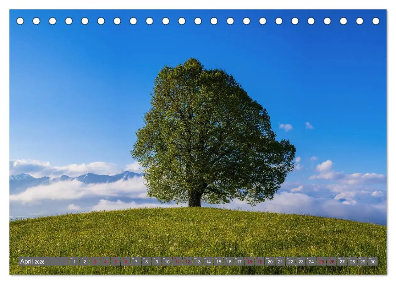 Bild: 9783457851197 | Schöne Wanderungen um Oberstdorf (Tischkalender 2026 DIN A5 quer),...