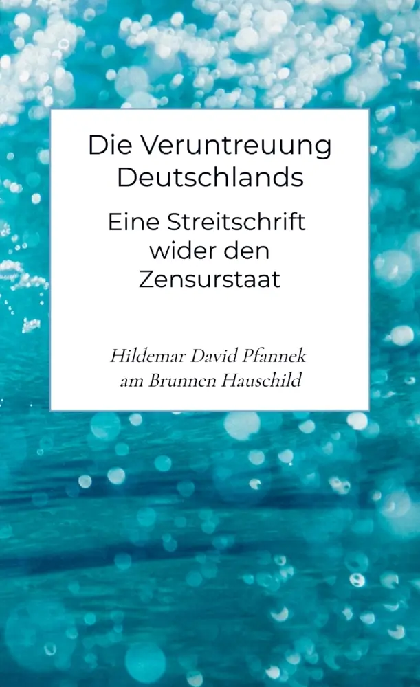 Cover: 9789403791197 | Die Veruntreuung Deutschlands | Hauschild | Taschenbuch | Deutsch