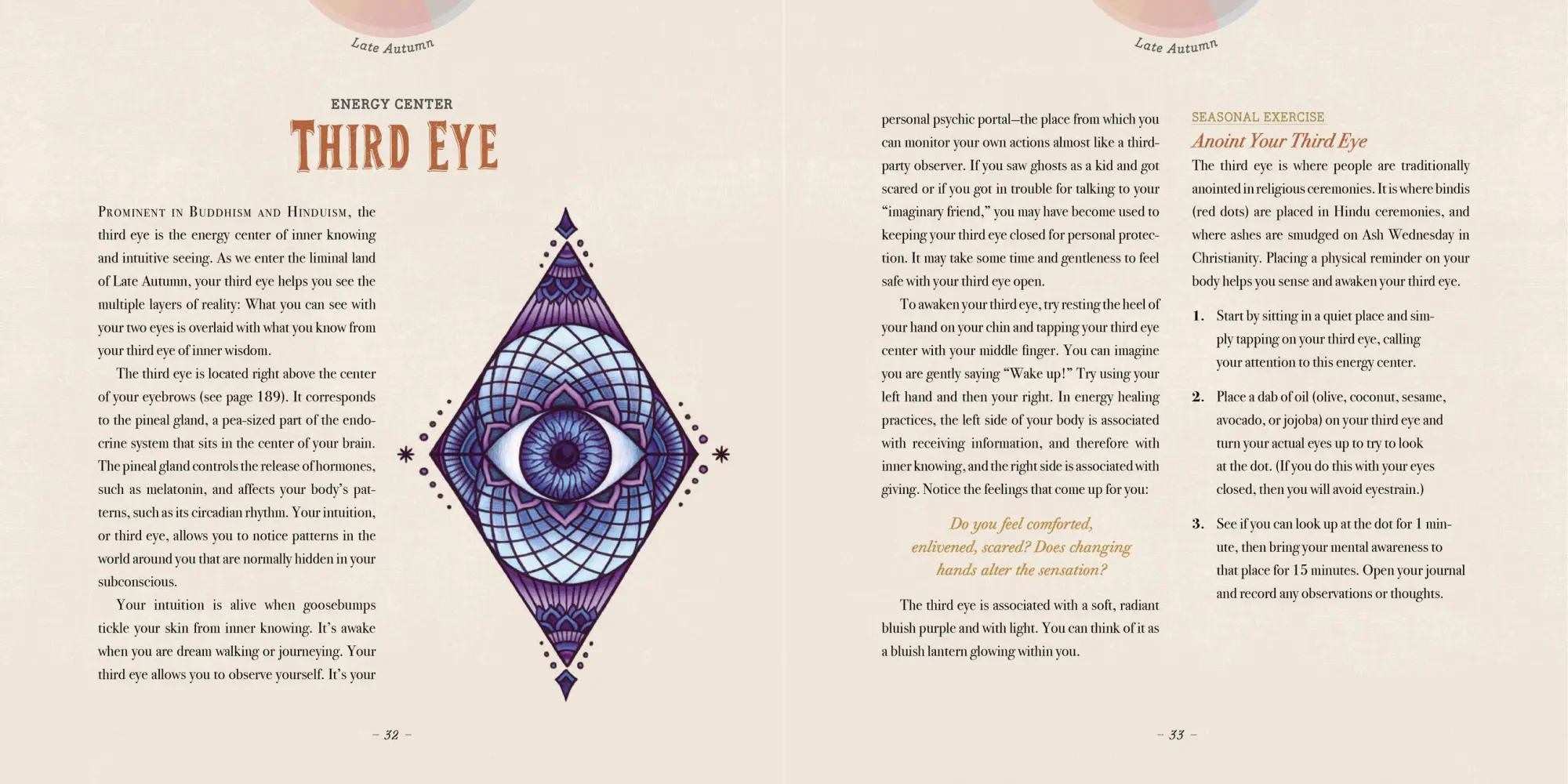 Bild: 9781635861297 | Maia Toll's Wild Wisdom Companion | Maia Toll | Buch | Wild Wisdom