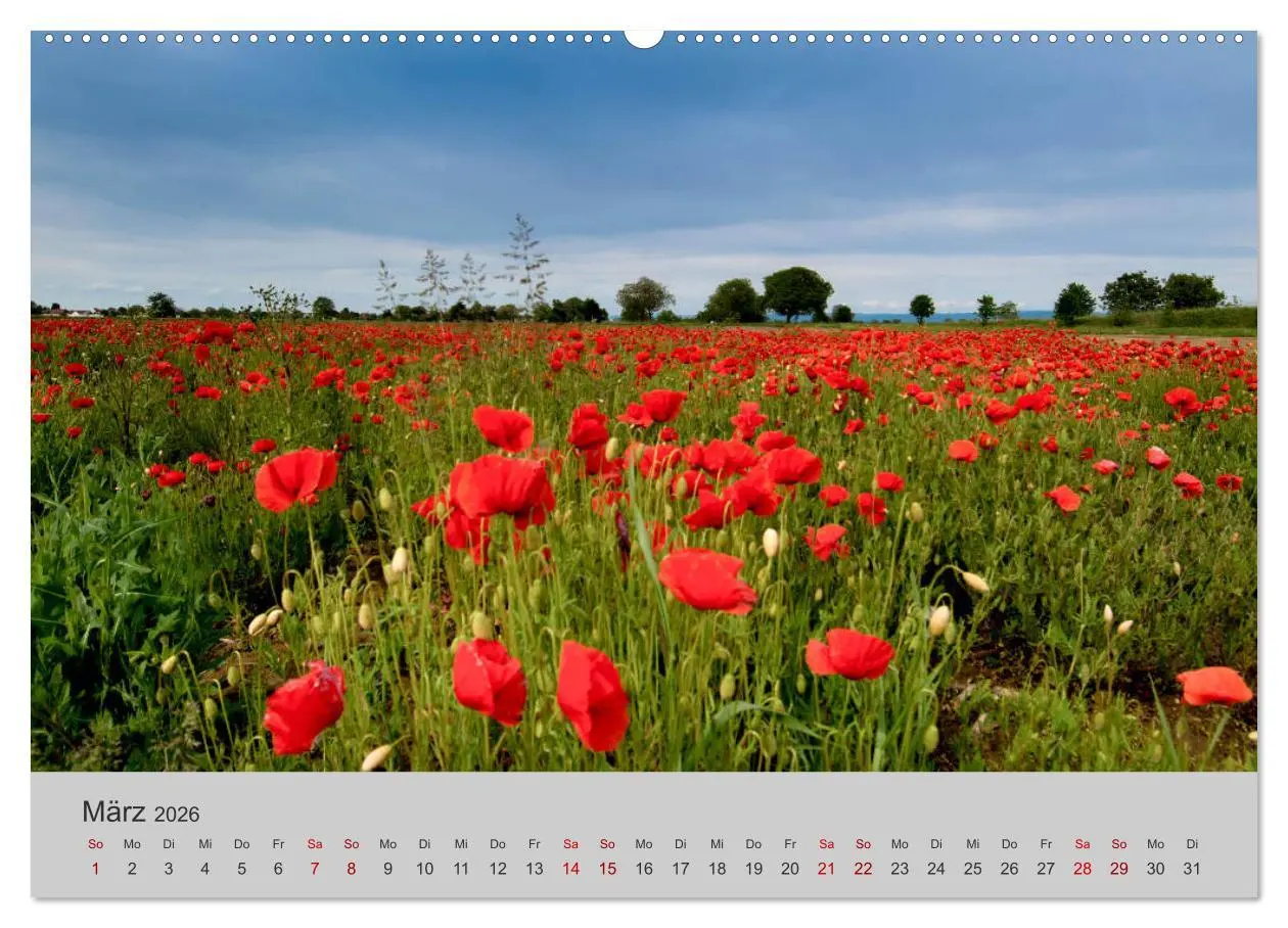 Bild: 9783457771297 | Die Schönheit der Bretagne (hochwertiger Premium Wandkalender 2026...