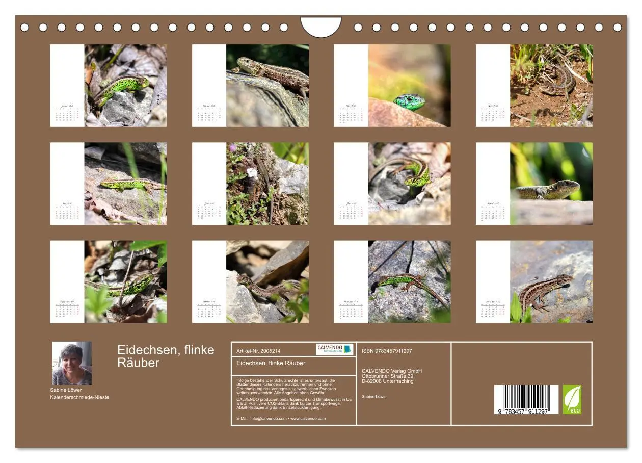 Bild: 9783457911297 | Eidechsen, flinke Räuber (Wandkalender 2026 DIN A4 quer), CALVENDO...