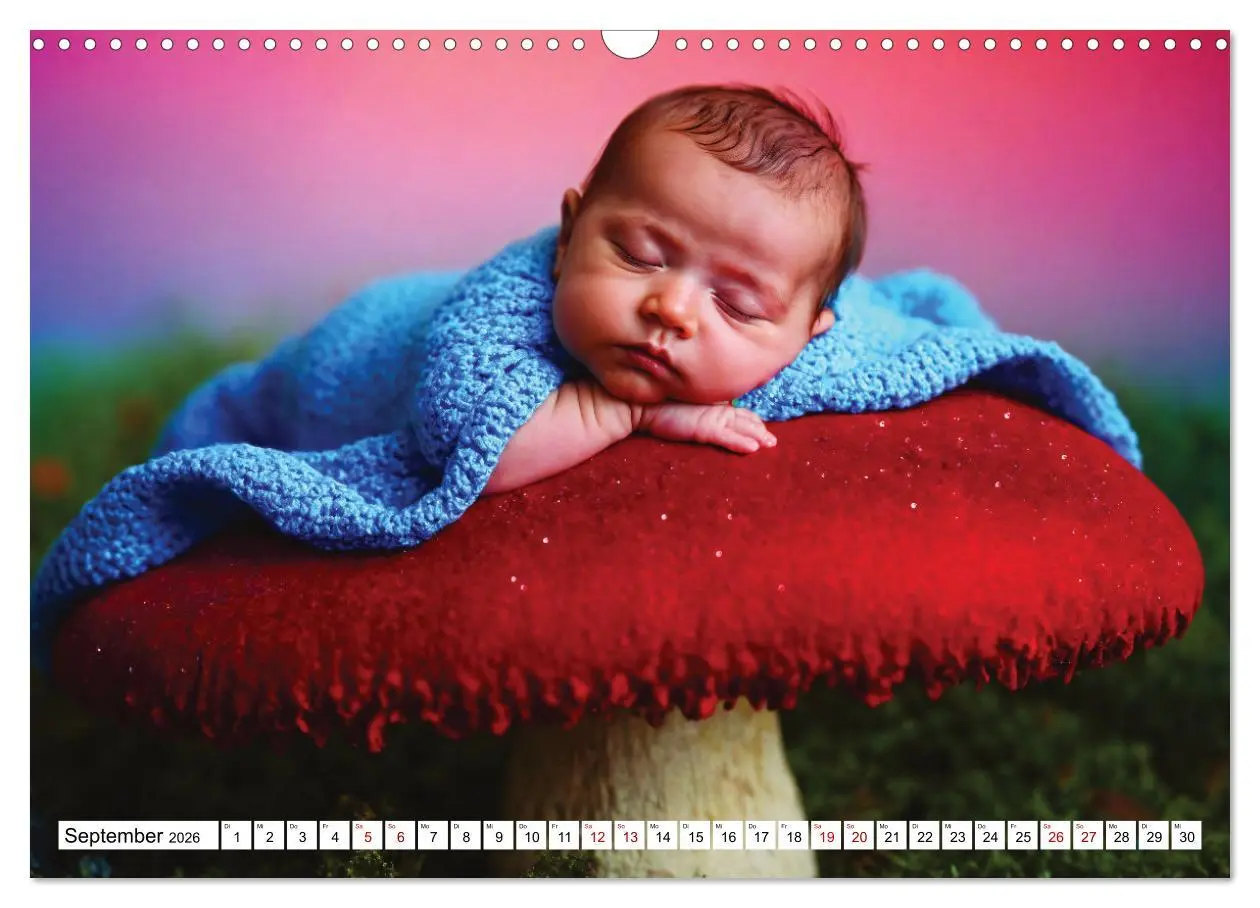 Bild: 9783457451397 | Zauberhaft schlafende Babies - Ruhig und friedlich (Wandkalender...