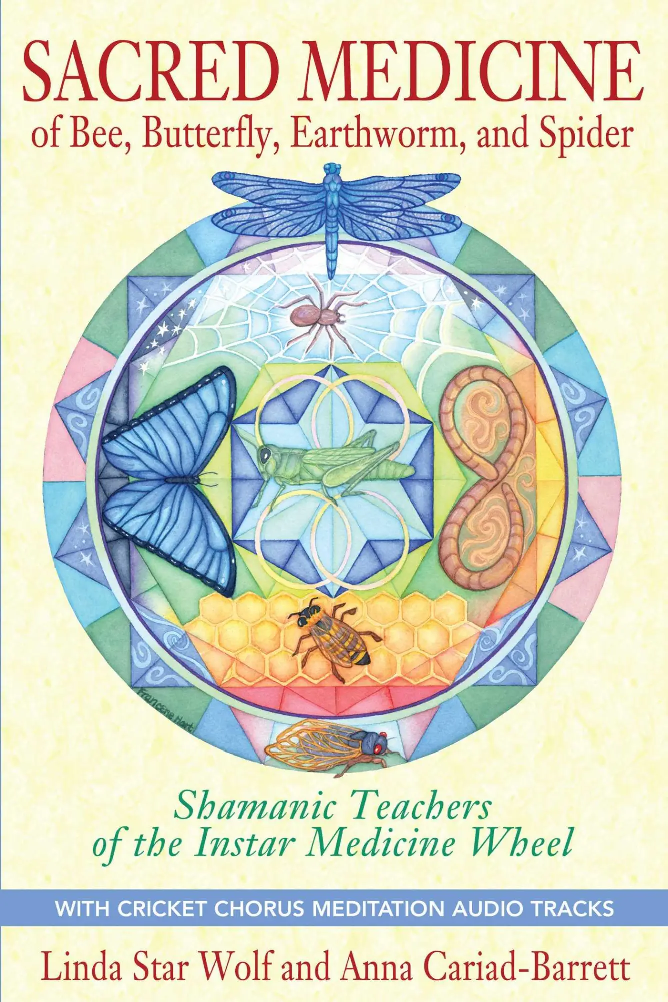 Cover: 9781591431497 | Sacred Medicine of Bee, Butterfly, Earthworm, and Spider | Taschenbuch