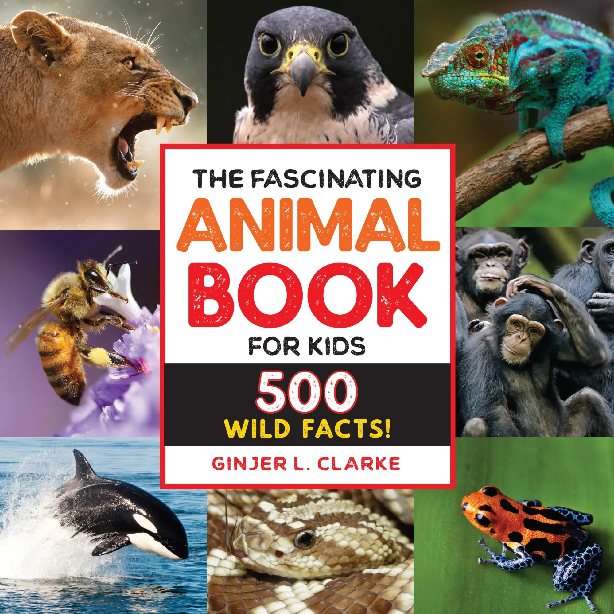 Cover: 9781646111497 | The Fascinating Animal Book for Kids | 500 Wild Facts! | Ginjer Clarke