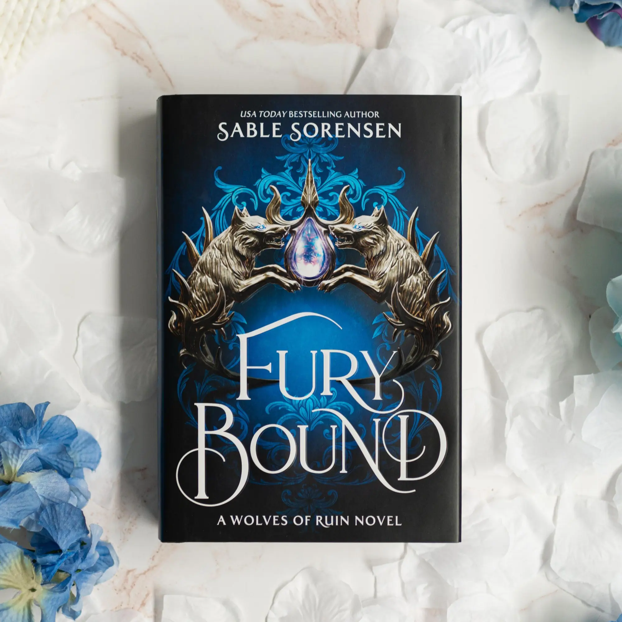 Bild: 9780316601597 | Fury Bound (Standard Edition) | Sable Sorensen | Buch | Englisch