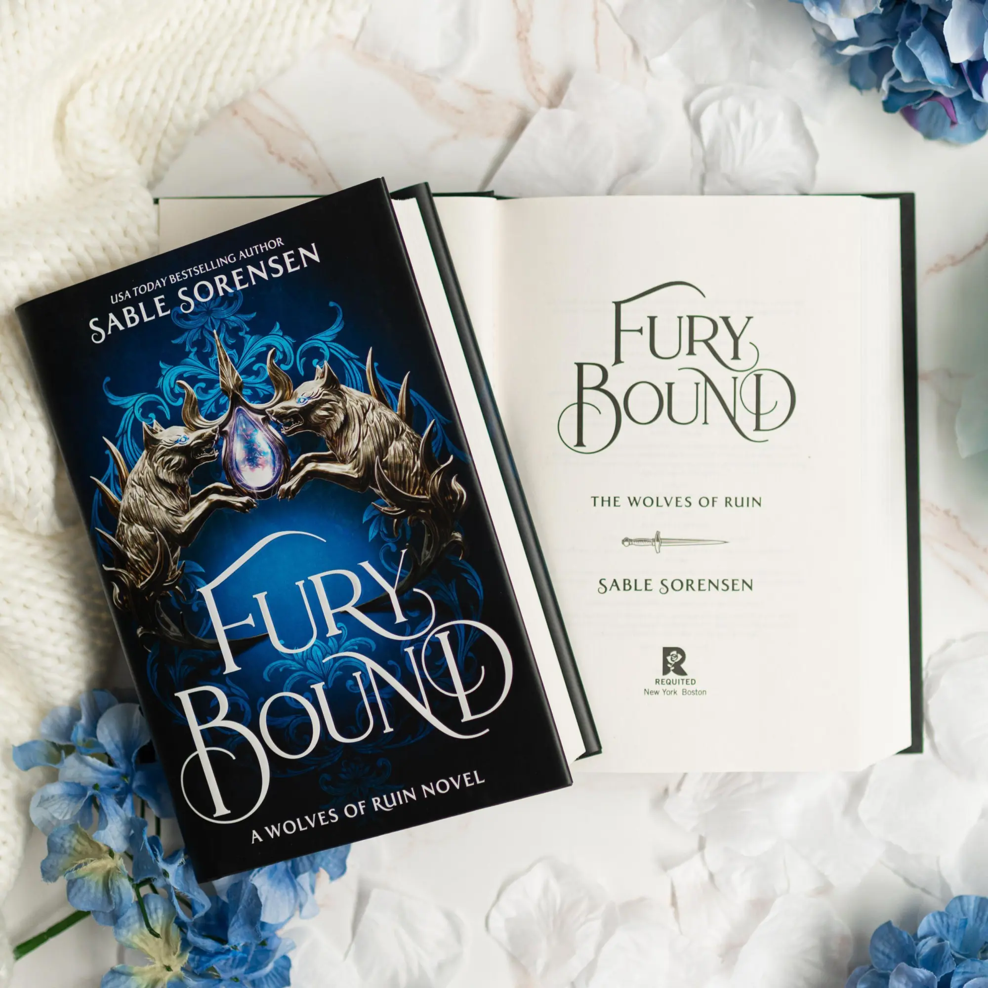 Bild: 9780316601597 | Fury Bound (Standard Edition) | Sable Sorensen | Buch | Englisch