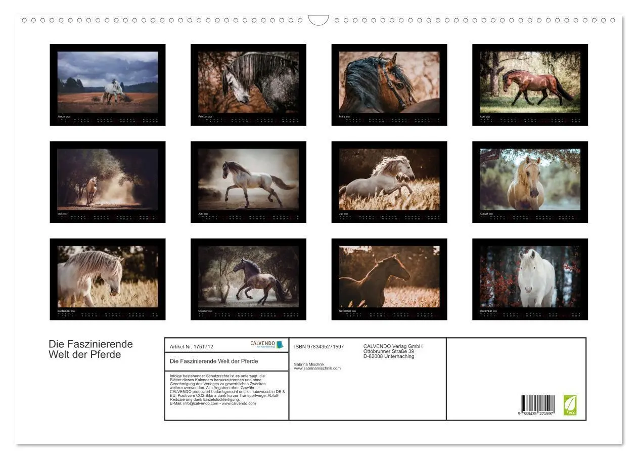 Bild: 9783435271597 | Die Faszinierende Welt der Pferde (Wandkalender 2025 DIN A2 quer),...