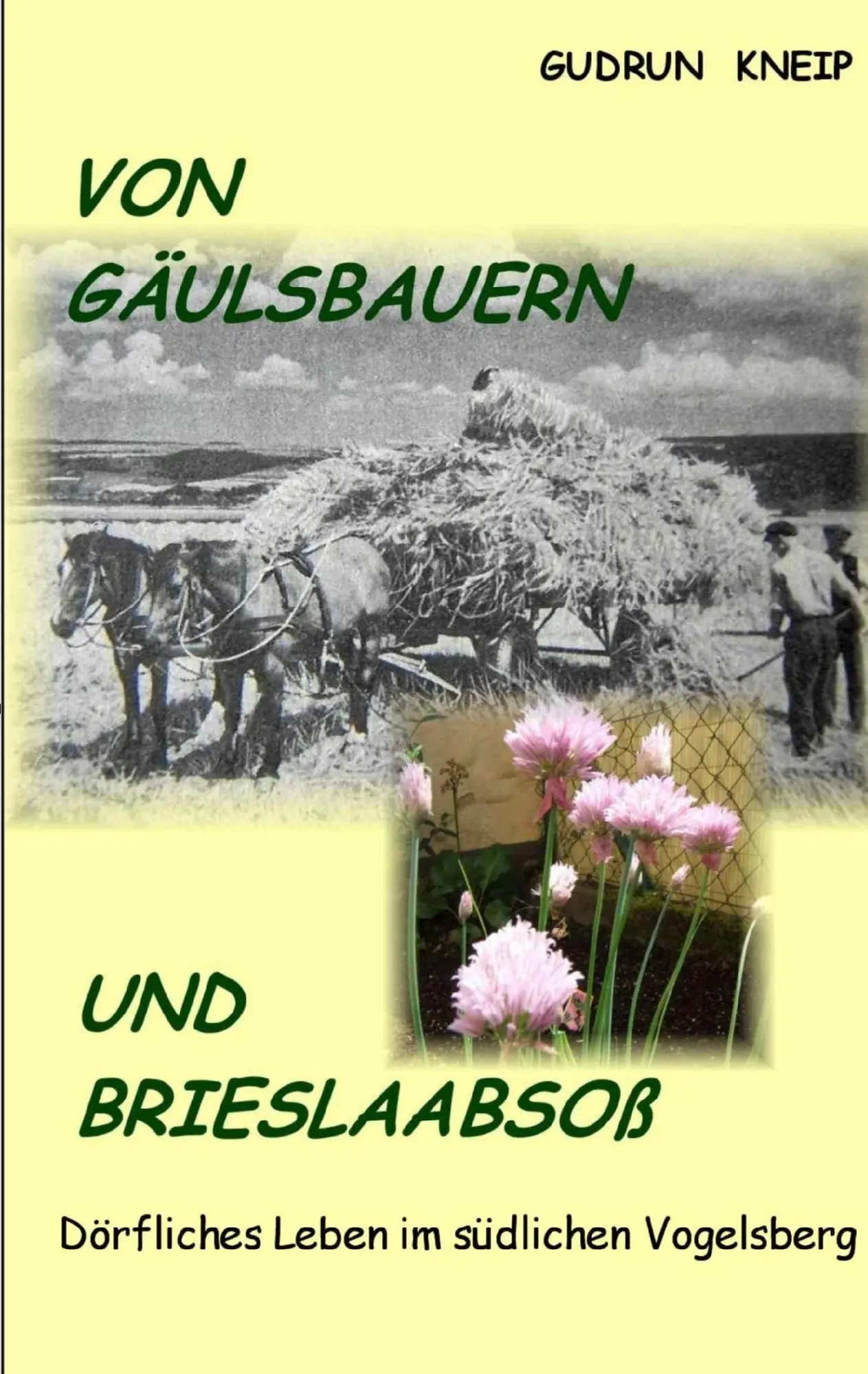 Cover: 9783837071597 | Von Gäulsbauern und Brießlaabsoß | Gudrun Kneip | Taschenbuch | 132 S.