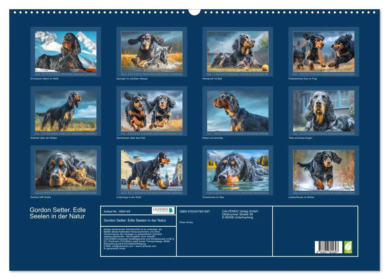 Bild: 9783457801697 | Gordon Setter. Edle Seelen in der Natur (Wandkalender 2026 DIN A2...