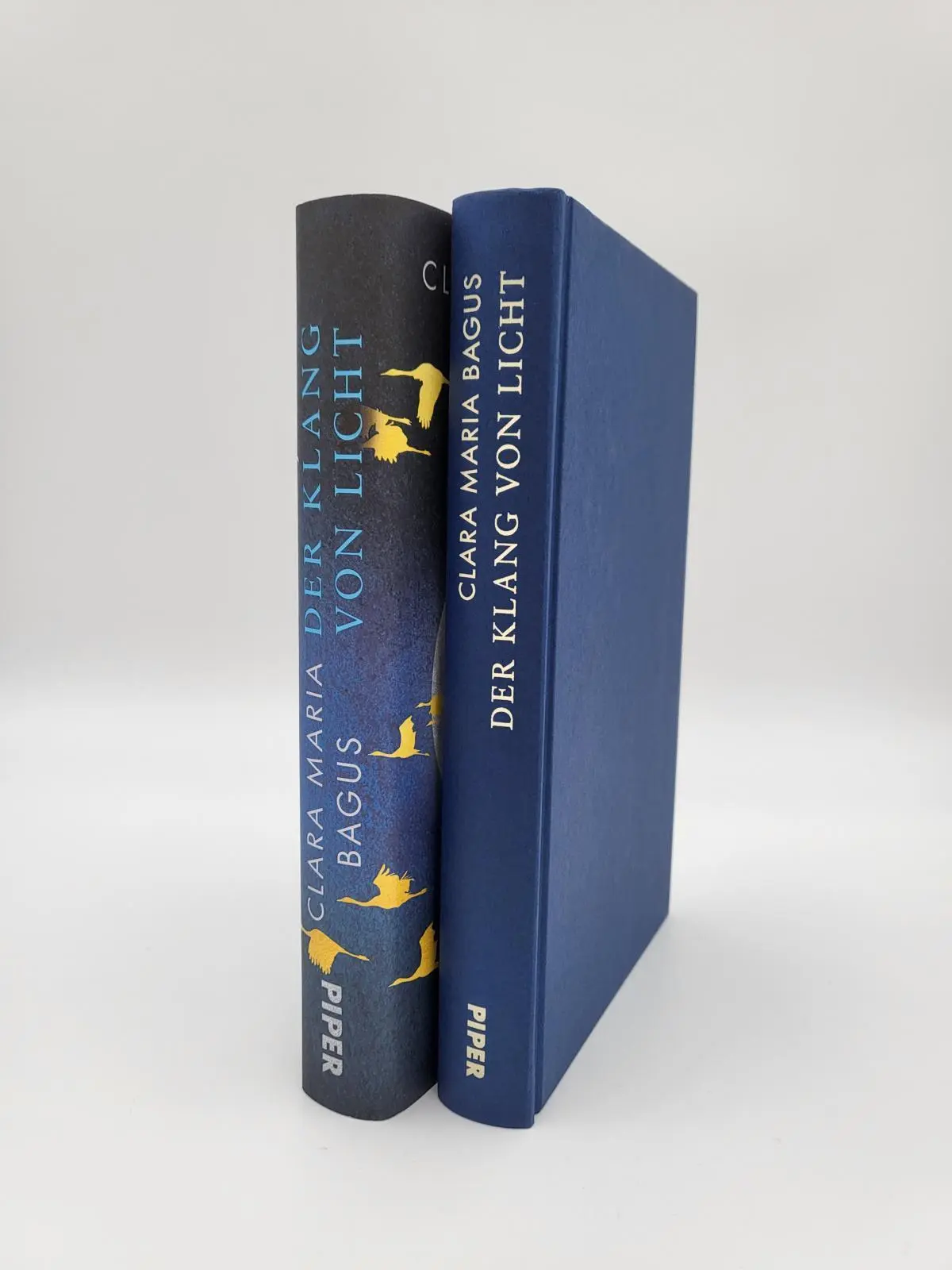 Bild: 9783492071697 | Der Klang von Licht | Clara Maria Bagus | Buch | 288 S. | Deutsch