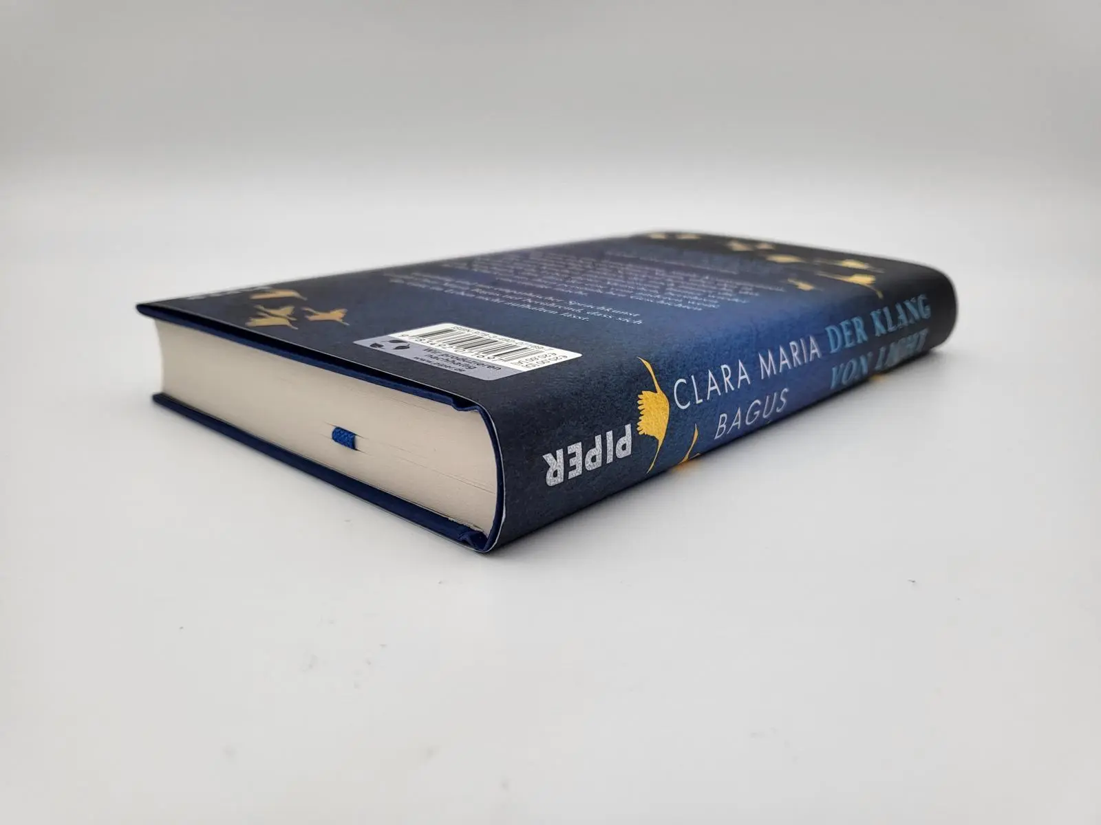 Bild: 9783492071697 | Der Klang von Licht | Clara Maria Bagus | Buch | 288 S. | Deutsch