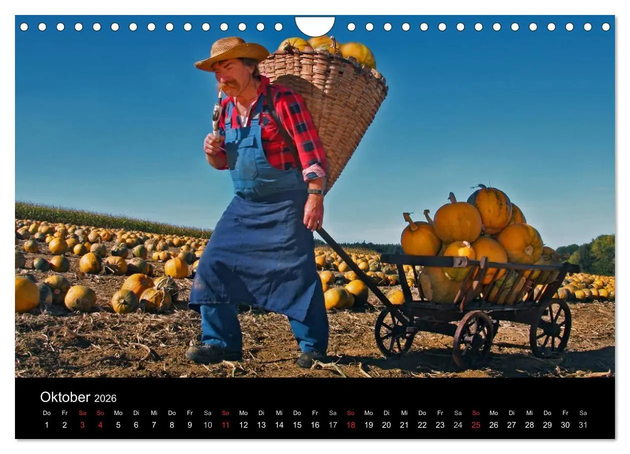 Bild: 9783516061697 | BAUERNSCHLAU 2026 (Wandkalender 2026 DIN A4 quer), CALVENDO...