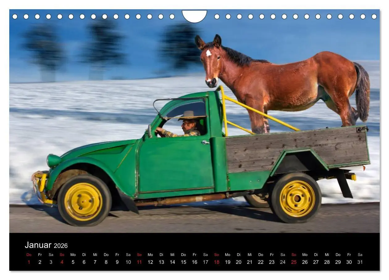 Bild: 9783516061697 | BAUERNSCHLAU 2026 (Wandkalender 2026 DIN A4 quer), CALVENDO...