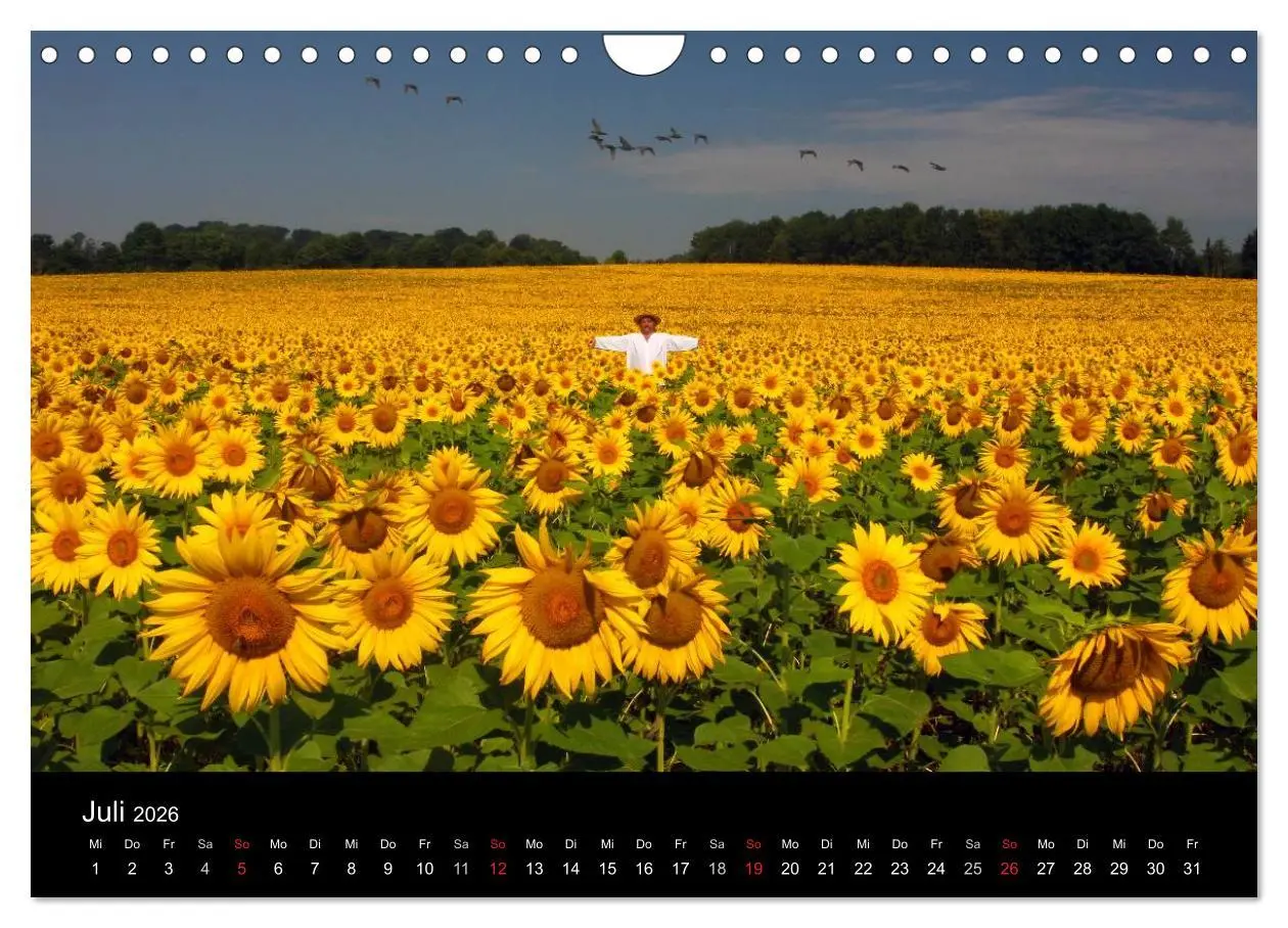 Bild: 9783516061697 | BAUERNSCHLAU 2026 (Wandkalender 2026 DIN A4 quer), CALVENDO...