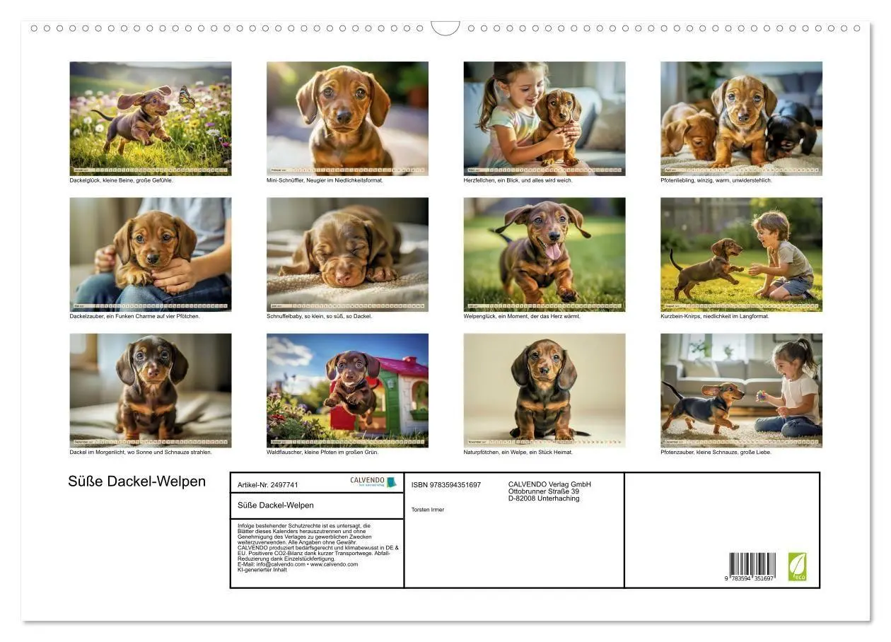 Bild: 9783594351697 | Süße Dackel-Welpen (Wandkalender 2027 DIN A2 quer), CALVENDO...