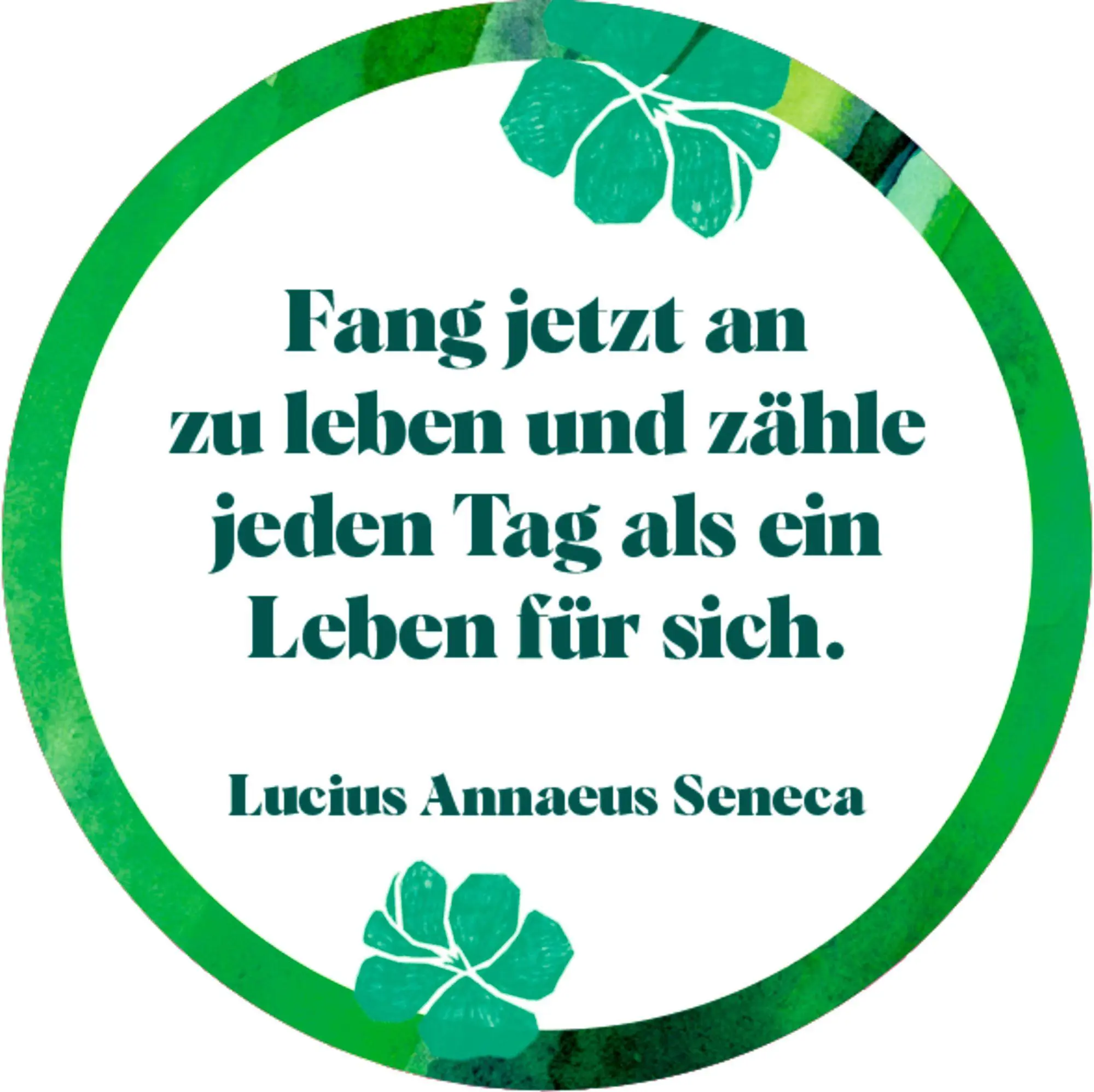Bild: 4050003971797 | Sprüchedose - Nimm eins! | Glücksmomente für dich (All about green)