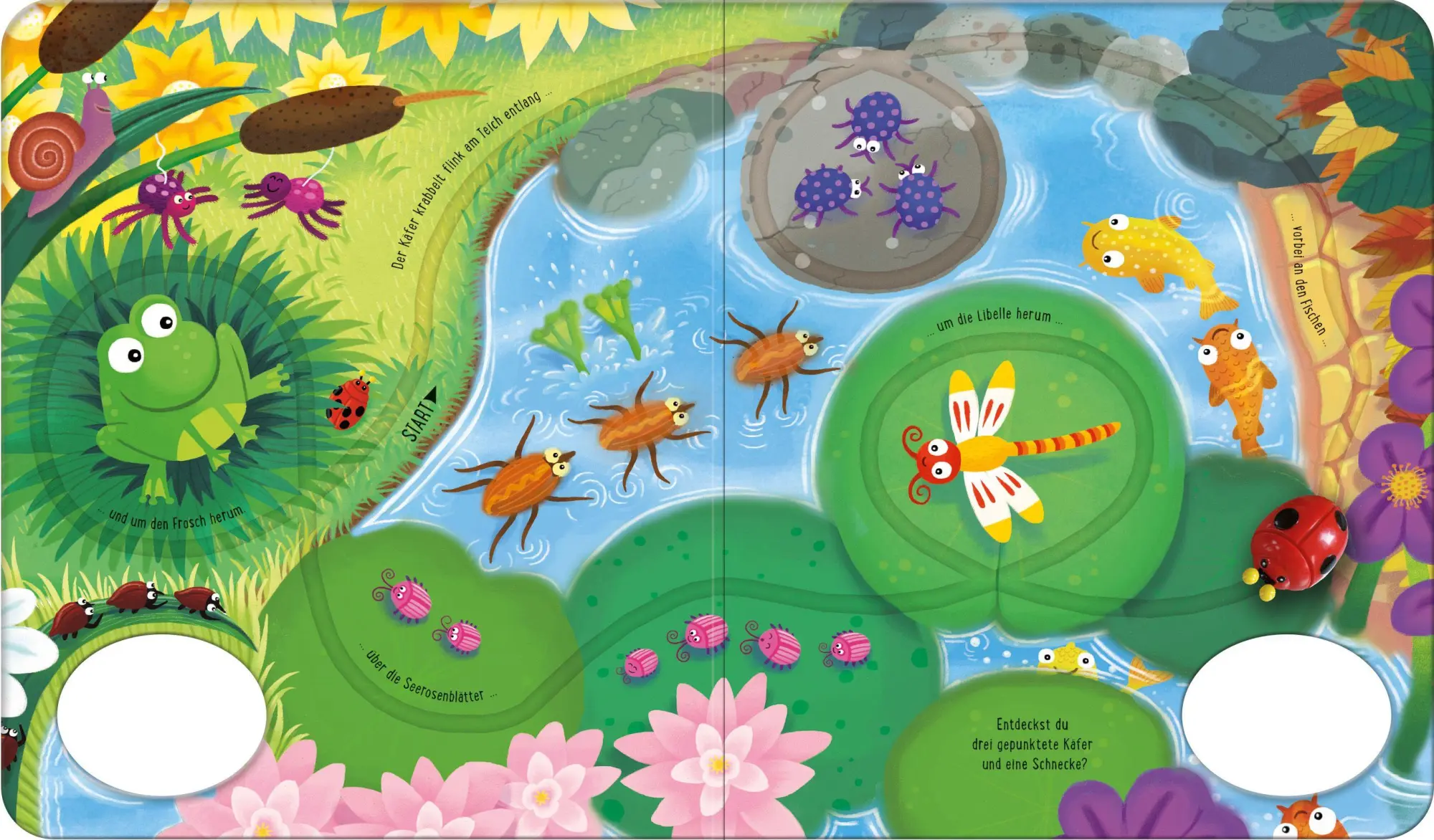 Bild: 9781035701797 | Wohin saust der Marienkäfer? | Fiona Watt | Buch | Fahrspurenbücher