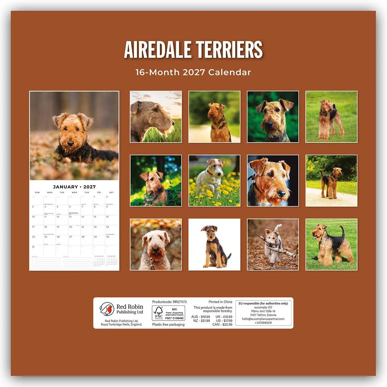 Rückseite: 9781837011797 | Airdale Terriers - Airdale Terrier 2027 - 16-Monatskalender | Red
