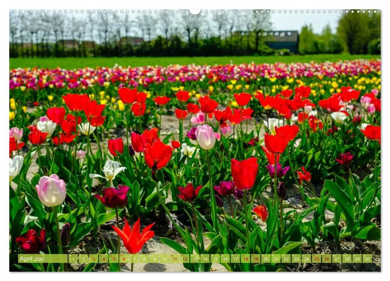 Bild: 9783516671797 | Das ist Zeeland! (hochwertiger Premium Wandkalender 2026 DIN A2...