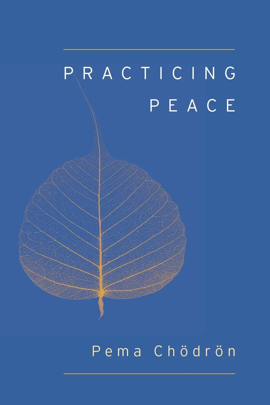 Cover: 9781611801897 | Practicing Peace | Pema Chodron | Taschenbuch | Englisch | 2014