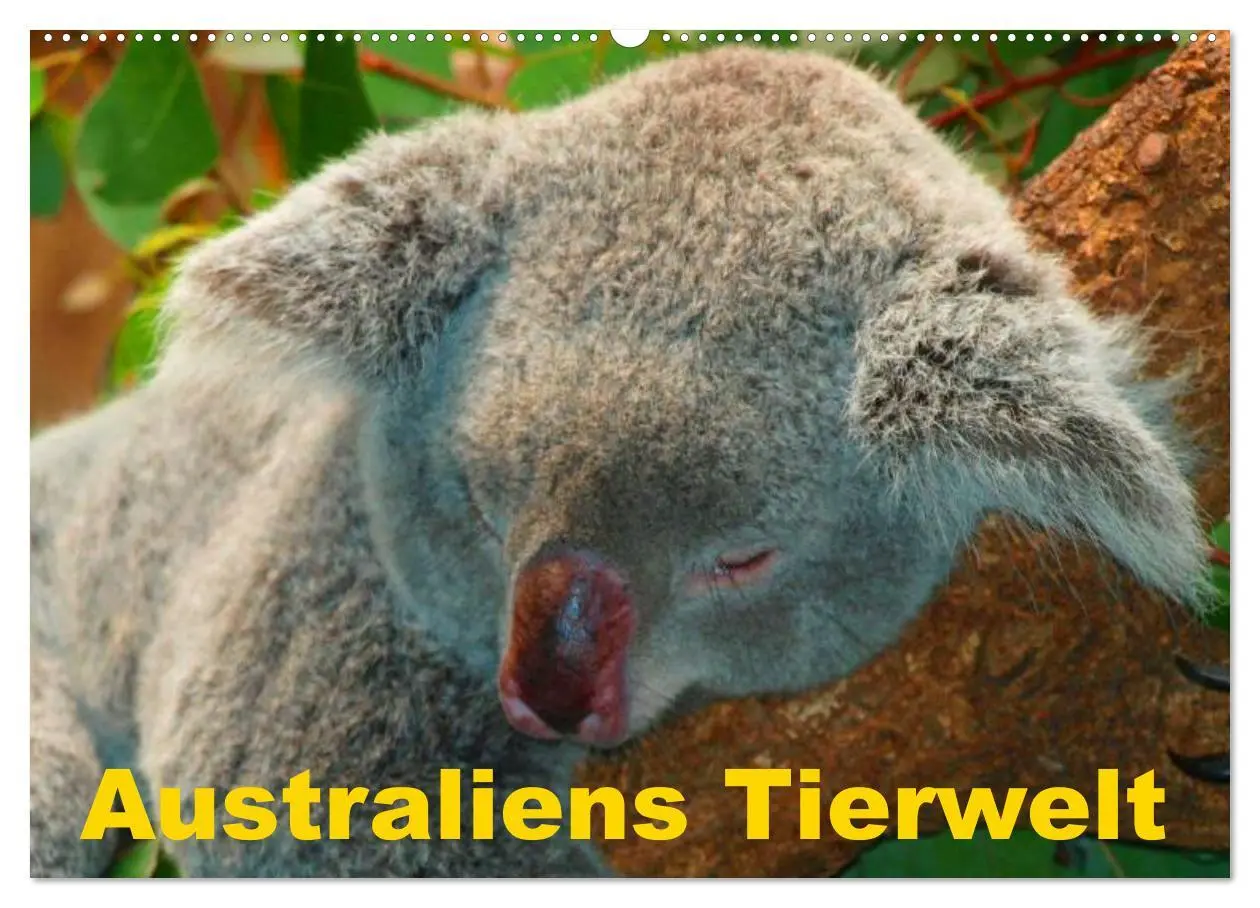 Cover: 9783516111897 | Australiens Tierwelt (Wandkalender 2026 DIN A2 quer), CALVENDO...