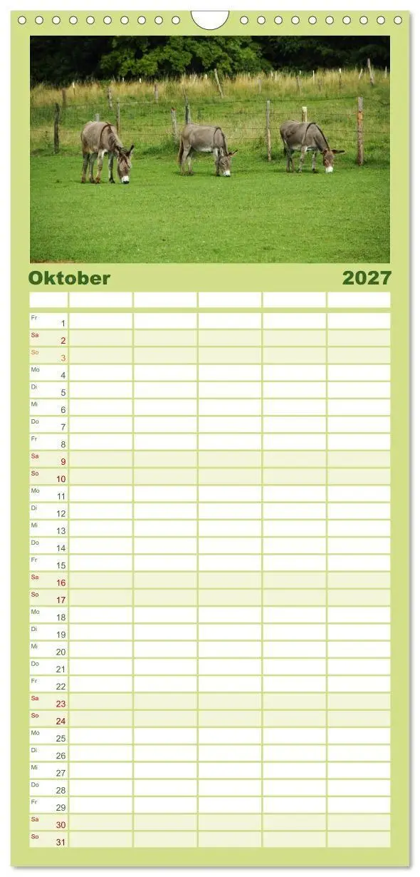 Bild: 9783594331897 | Familienplaner 2027 - Esel - liebenswerte Langohren mit 5 Spalten...