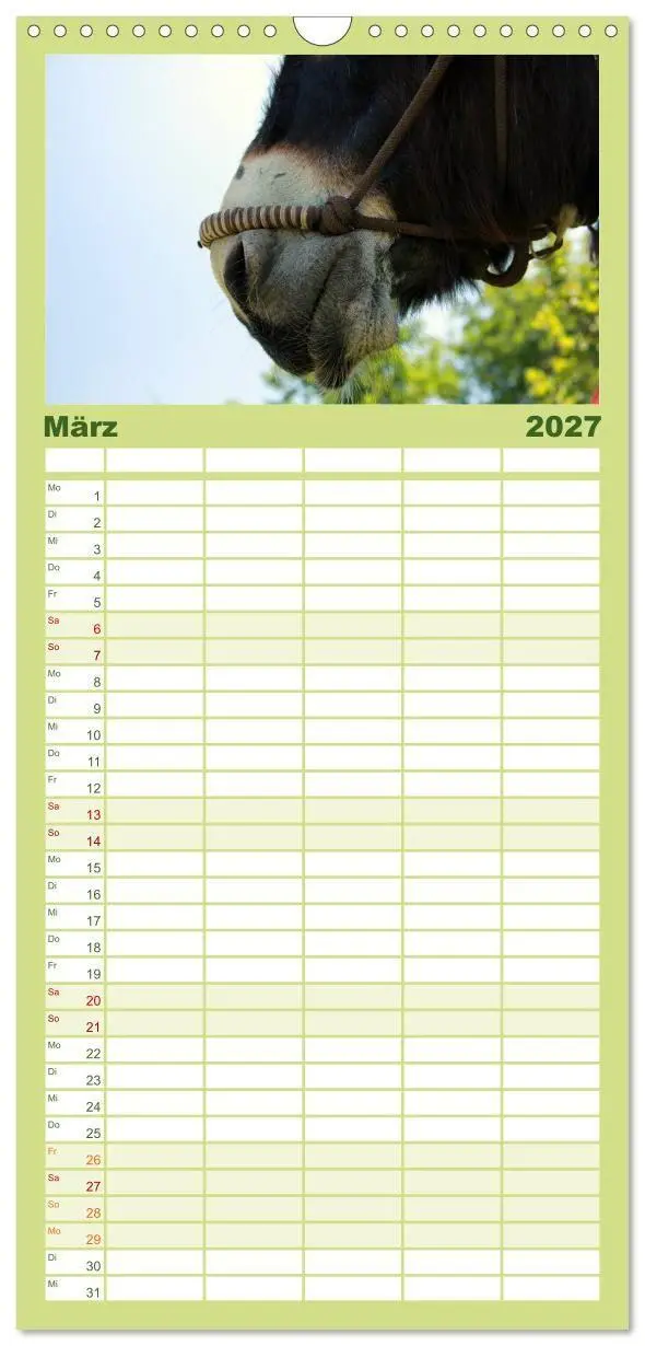 Bild: 9783594331897 | Familienplaner 2027 - Esel - liebenswerte Langohren mit 5 Spalten...
