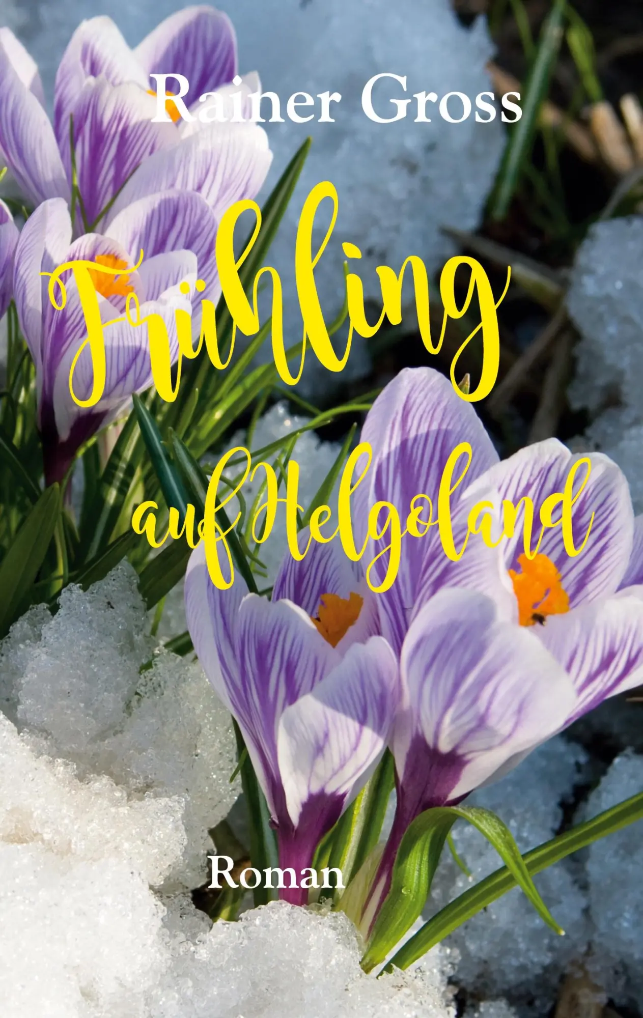 Cover: 9783752661897 | Frühling auf Helgoland | Roman | Rainer Gross | Taschenbuch | 312 S.