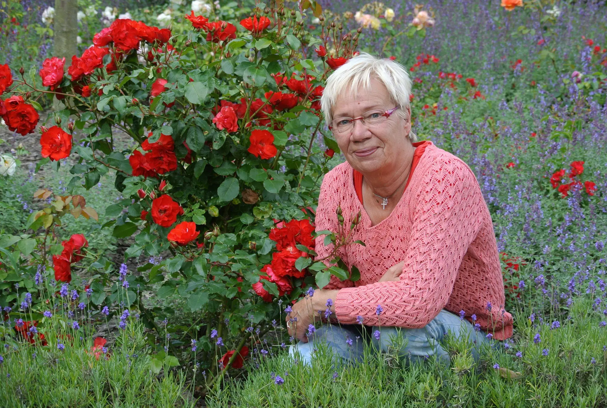 Autor: 9783765531897 | Rosenduft und Sonnenschein | Ulrike Strätling | Buch | 48 S. | Deutsch