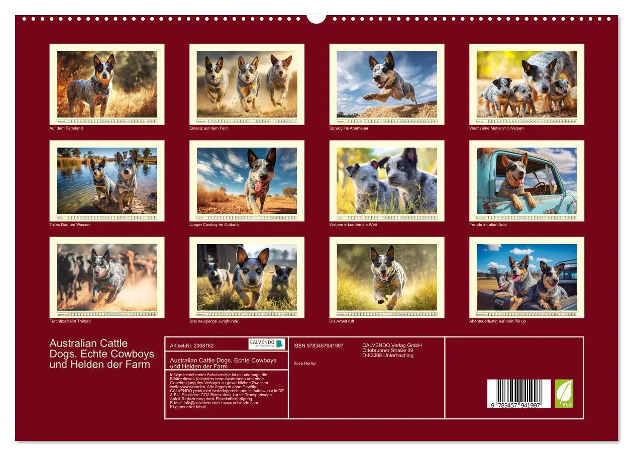 Bild: 9783457941997 | Australian Cattle Dogs. Echte Cowboys und Helden der Farm...